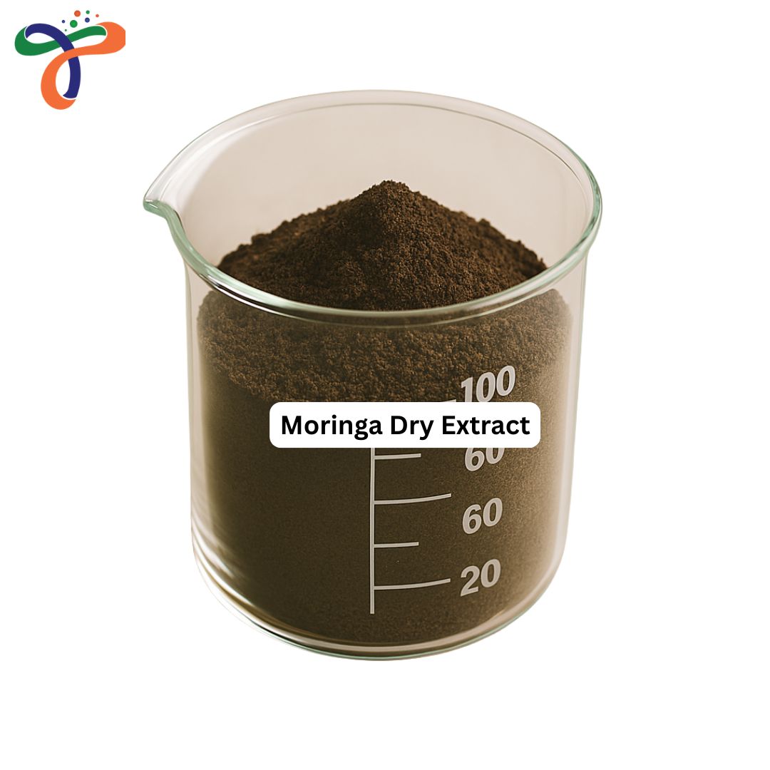 Moringa Dry Extract